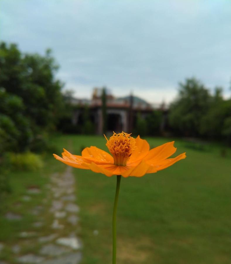 Pushkar Vela Resort Kültér fotó